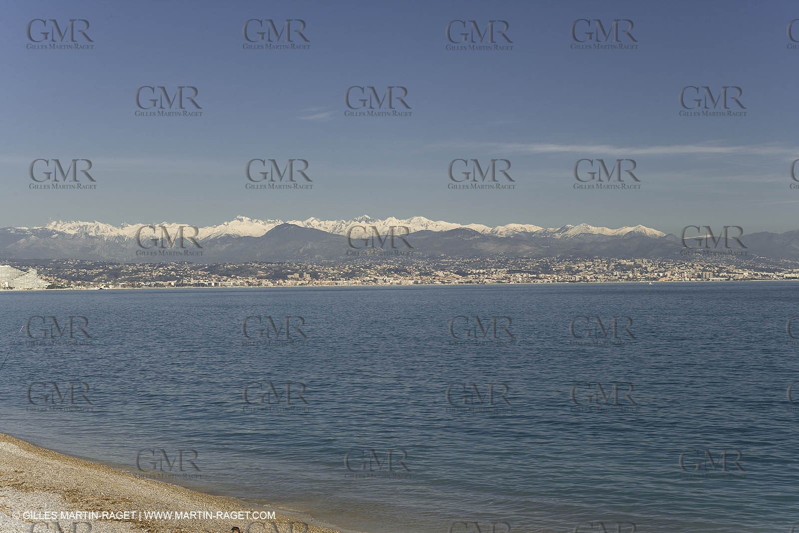 06 02 2008 - Théoule sur mer (FRA, 06) - Mimoses in full flower