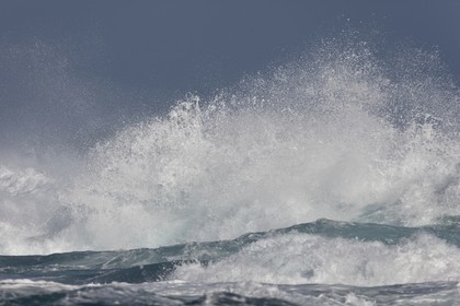 27 08 2010 - Minorque (ESP) - Cap favaritx (East Coast)