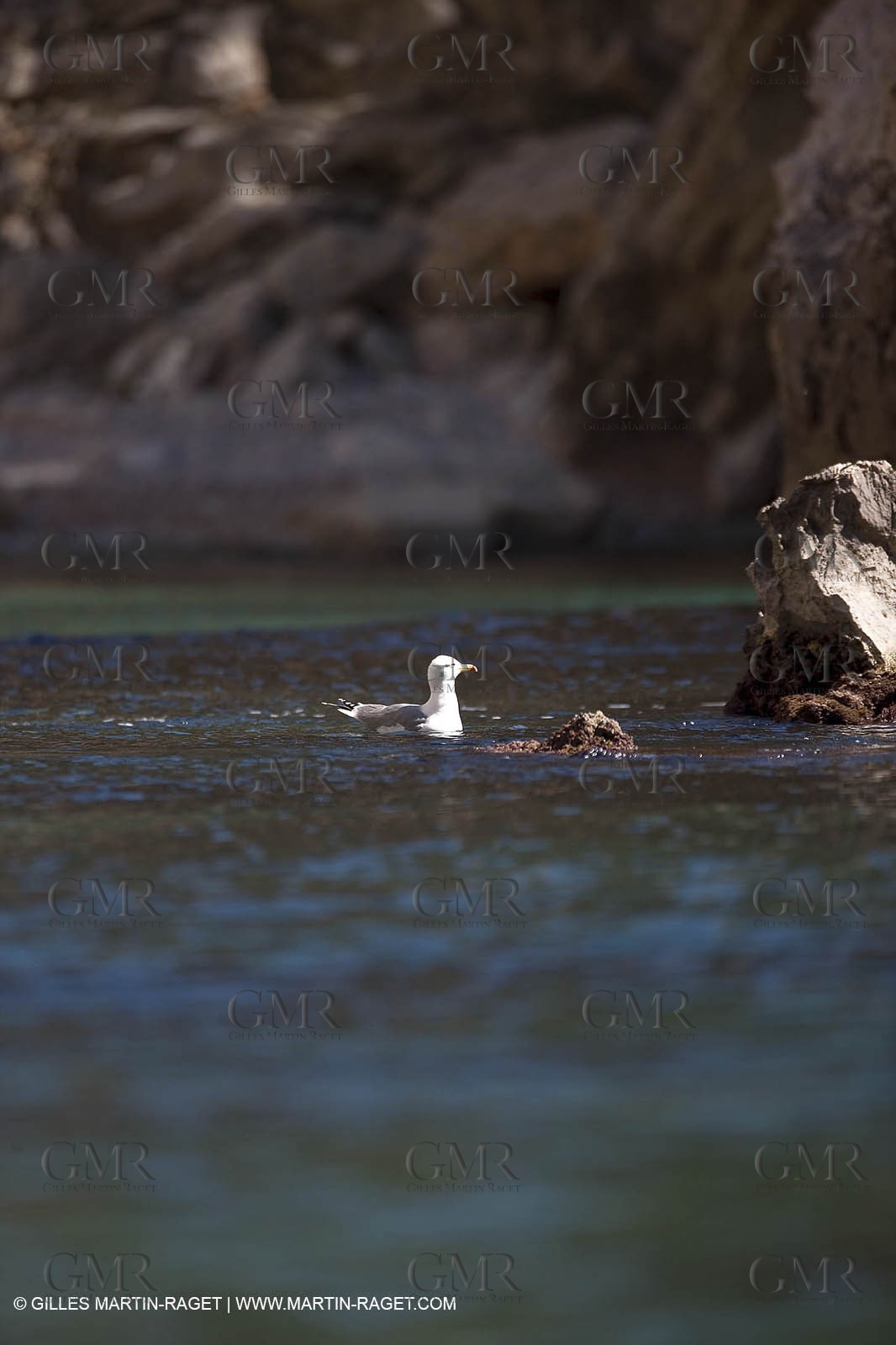 26 03 2009 - Marseille (FRA, 13) - Les Calanques - Sugiton