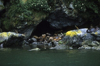 Patagonie