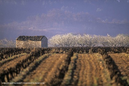 France, Provence, Paysages du Luberon, Luberon Landscapes
