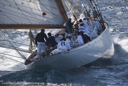 YC9H1785.JPG