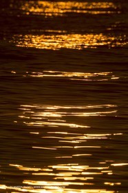 21 12 2014, Barcelona (ESP), Barcelona World Race 2014-15,