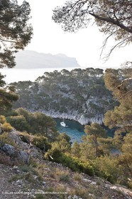 03 05 2009 - Marseille (FRA, 13) - Les Calanques - Port Pin