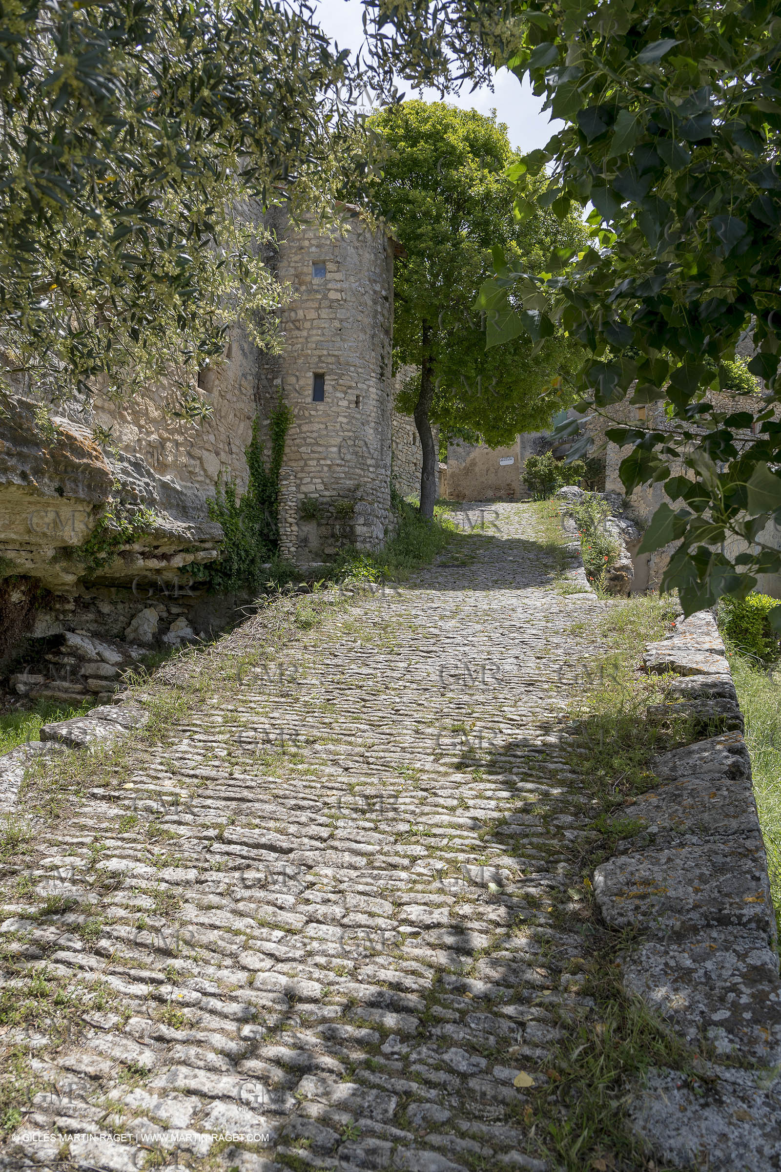 10 06 2018, Sivergues (FRA,84)