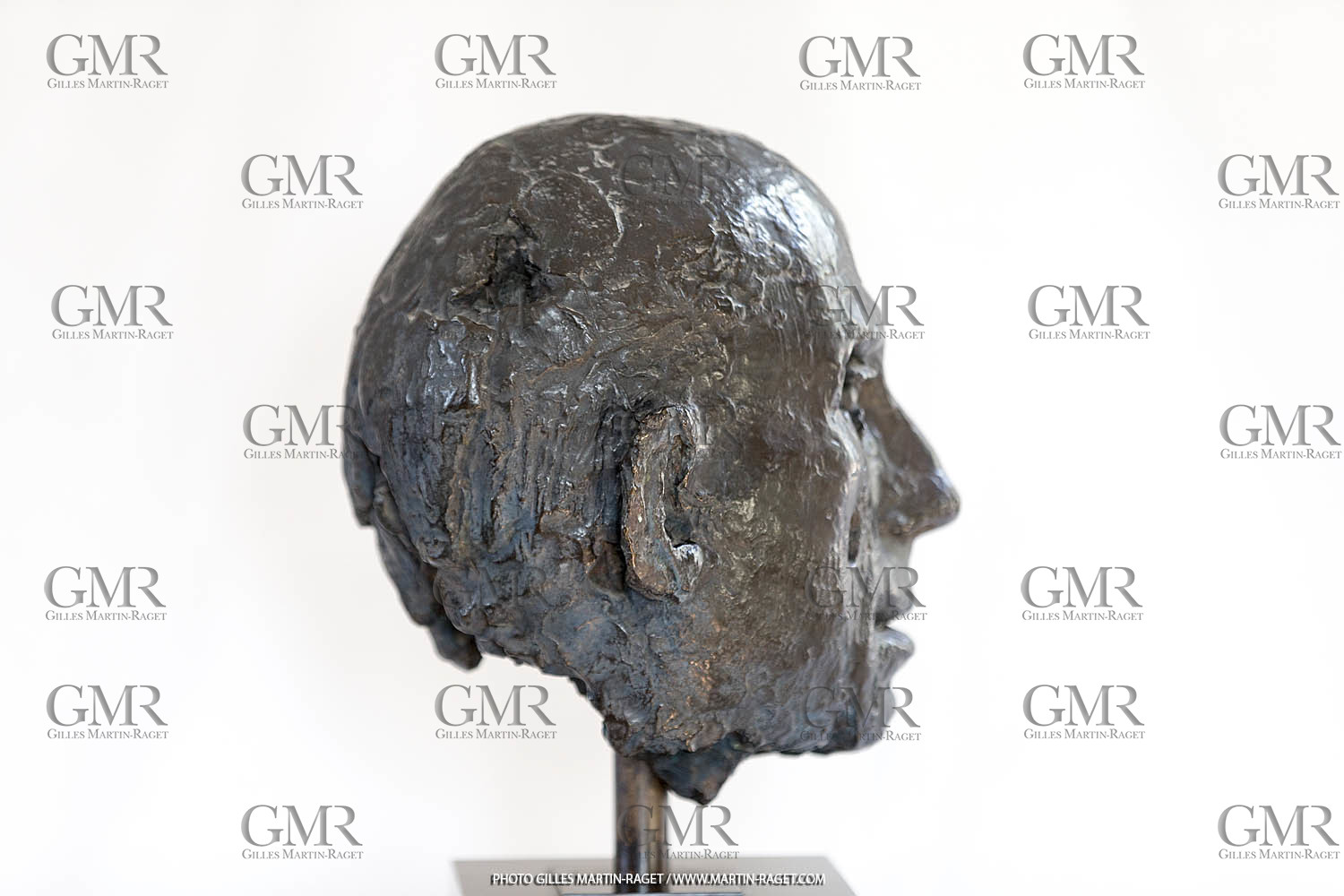 06 03 2016, Saint Etienne du Grès (FRA,13), Oeuvre de Germaine Richier, buste Le Guerrier, 1945, 5 8