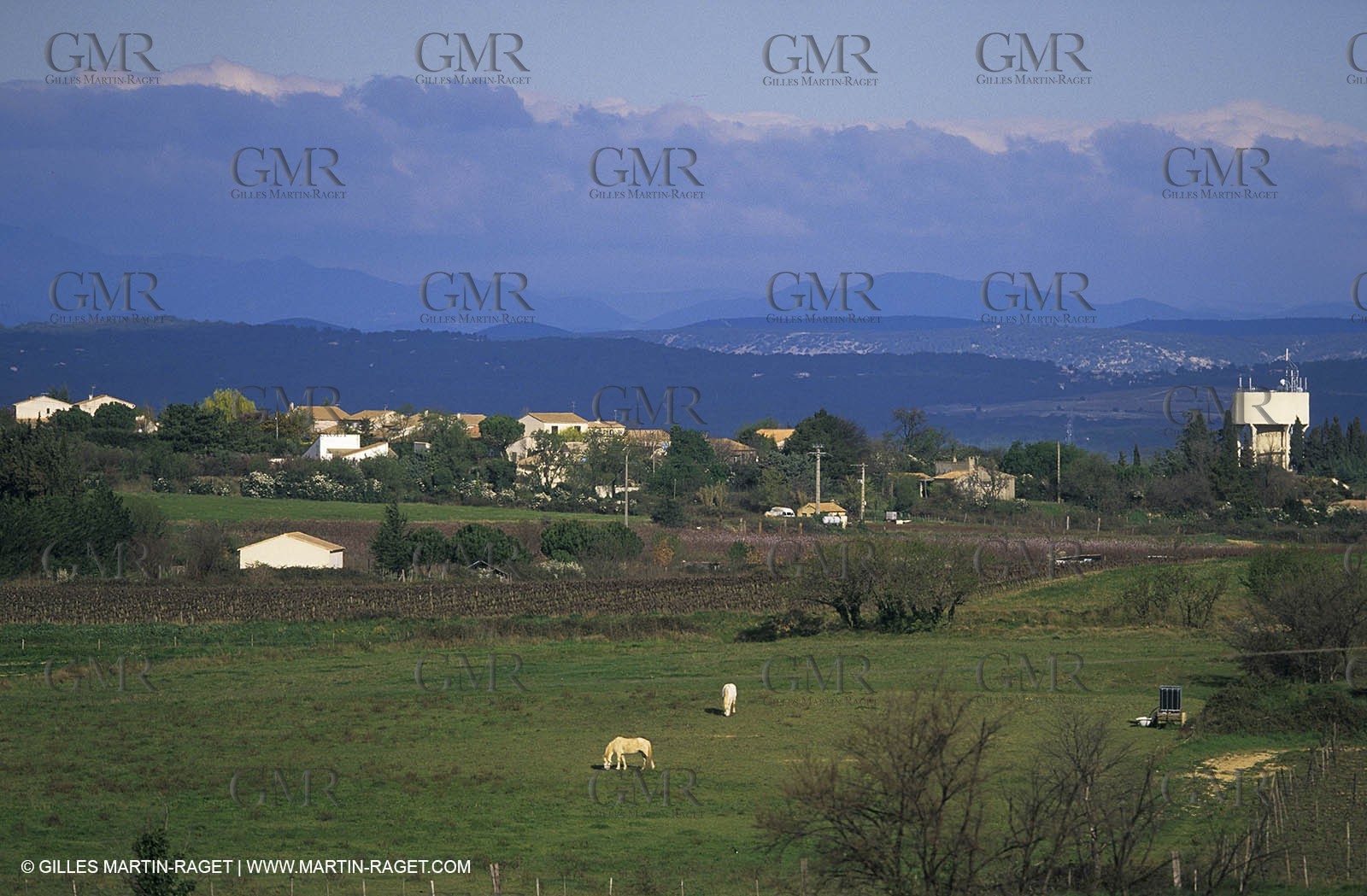Paysages de Nîmes Métropole (FRA,30) -Costières
