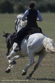 Course de Satin 2014 - Arles (FRA,13) - 1 06 2014**The satin race - Arles (FRA,13) - 01 06 2014