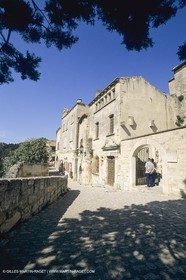 France, Provence, paysage des Alpilles, Alpilles landscapes, Les Baux de Provence