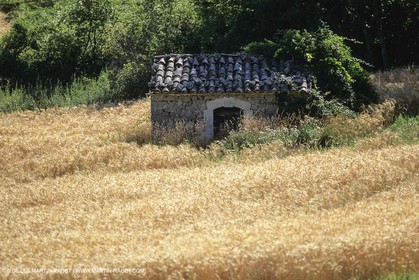 Payasages et villages du Parc National du Luberon(FRA,84)