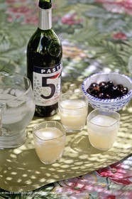 PASTIS_1