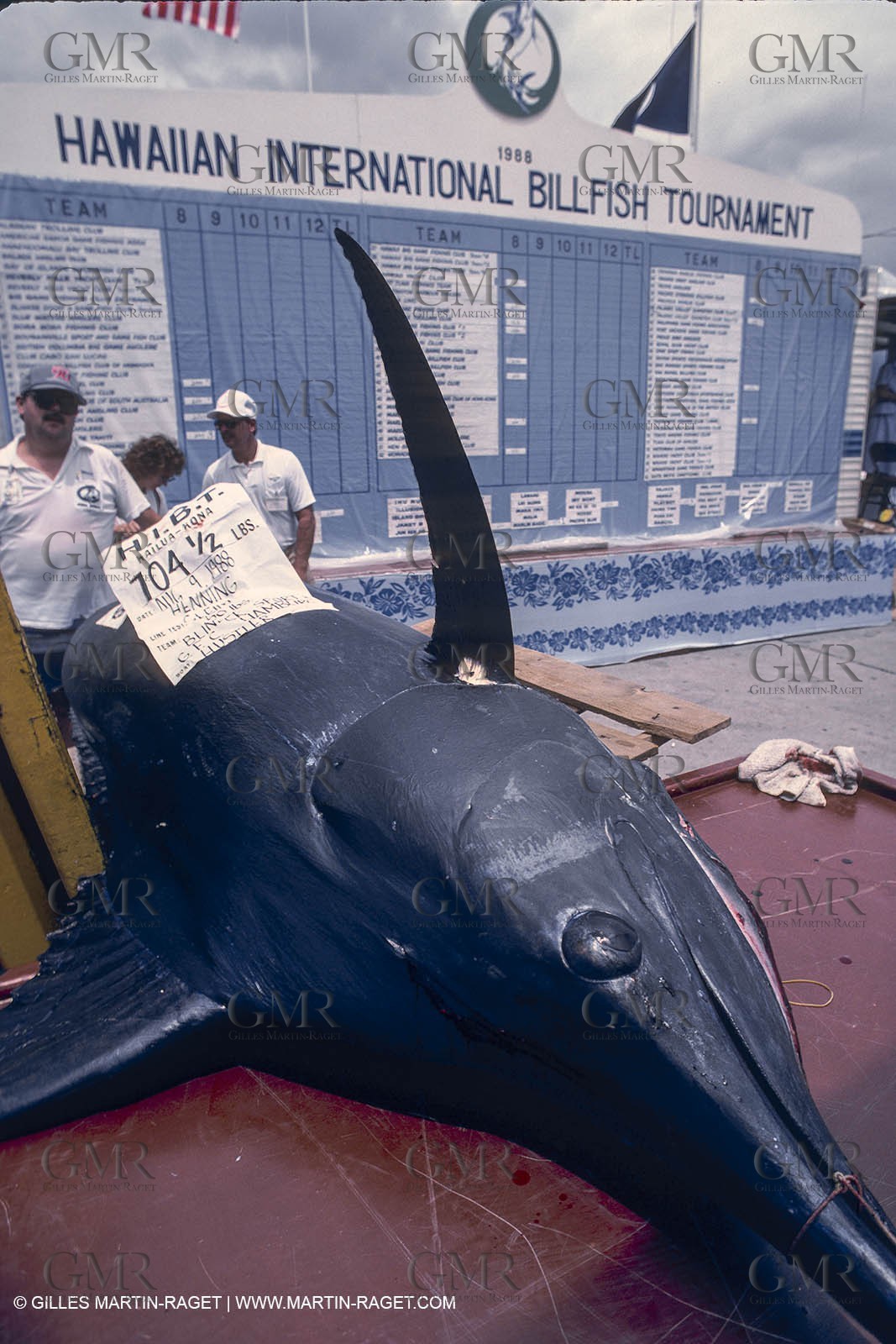 Water sports, Sportfishing, pêche au gros