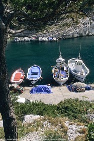 MORGIOU0935.jpg