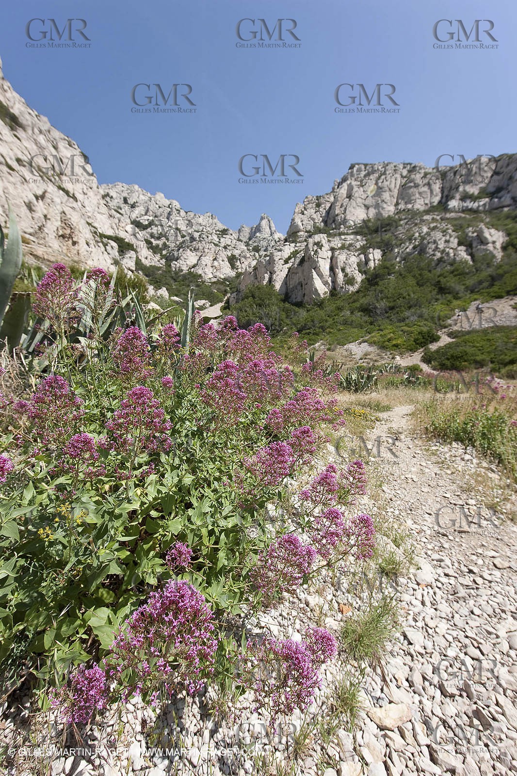 20 05 2009 - Marseille (FRA, 13) - Les Calanques - Calanque du Podestat