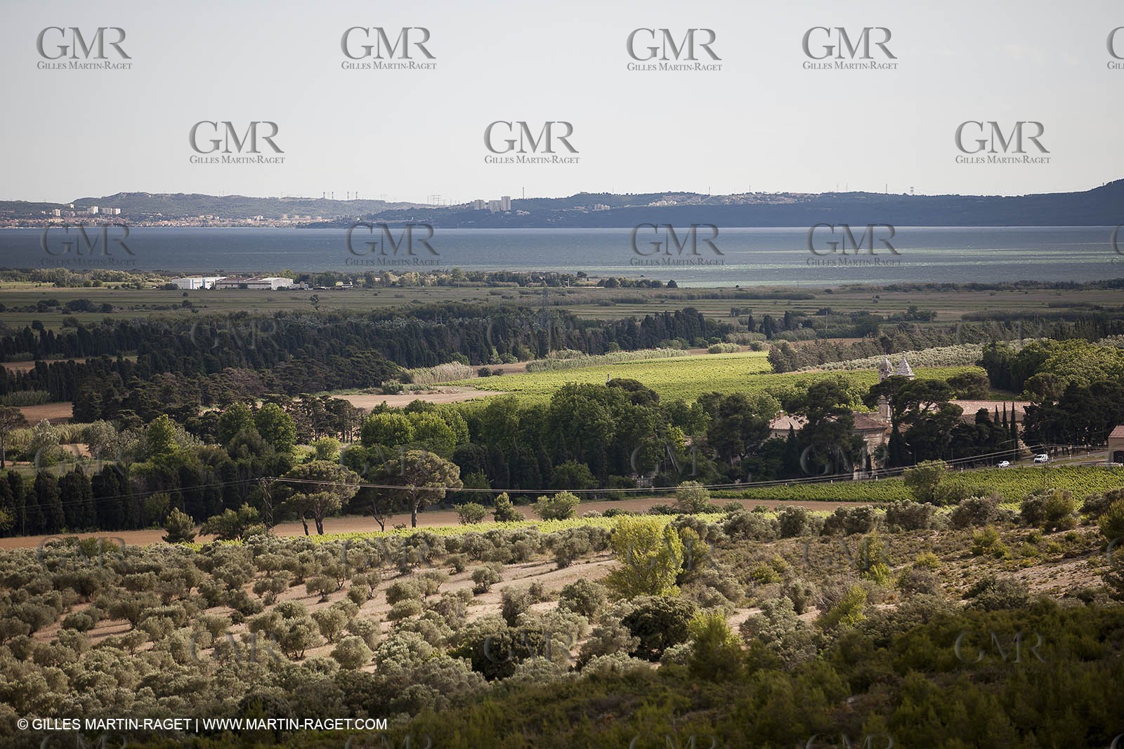 13 06 2012 -  Lançon de Provence (FRA,13) - Chateau Calissanne