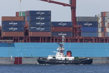 12 11 2014, Capetown (ZAF), Volvo Ocean Race 2014-15, Team Alvimedica goes back training