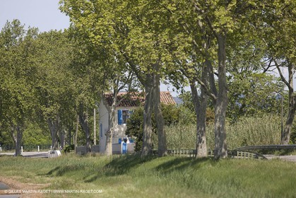 01 05 2008 - Arles (FRA,13) - Election de la Reine d'Arles