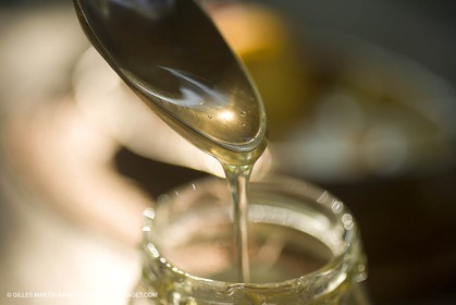 13 08 2007 - Saint Etienne du Grès (FRA - 13) - Miel et abeilles