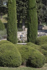 22 06 2018, Saint-Saturnin les Apts (FRA,84), Domaine des Andéols