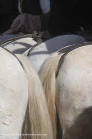 04 03 2007 - Aimargues (30, FRA) - Fanfonne Guillerme souvenir