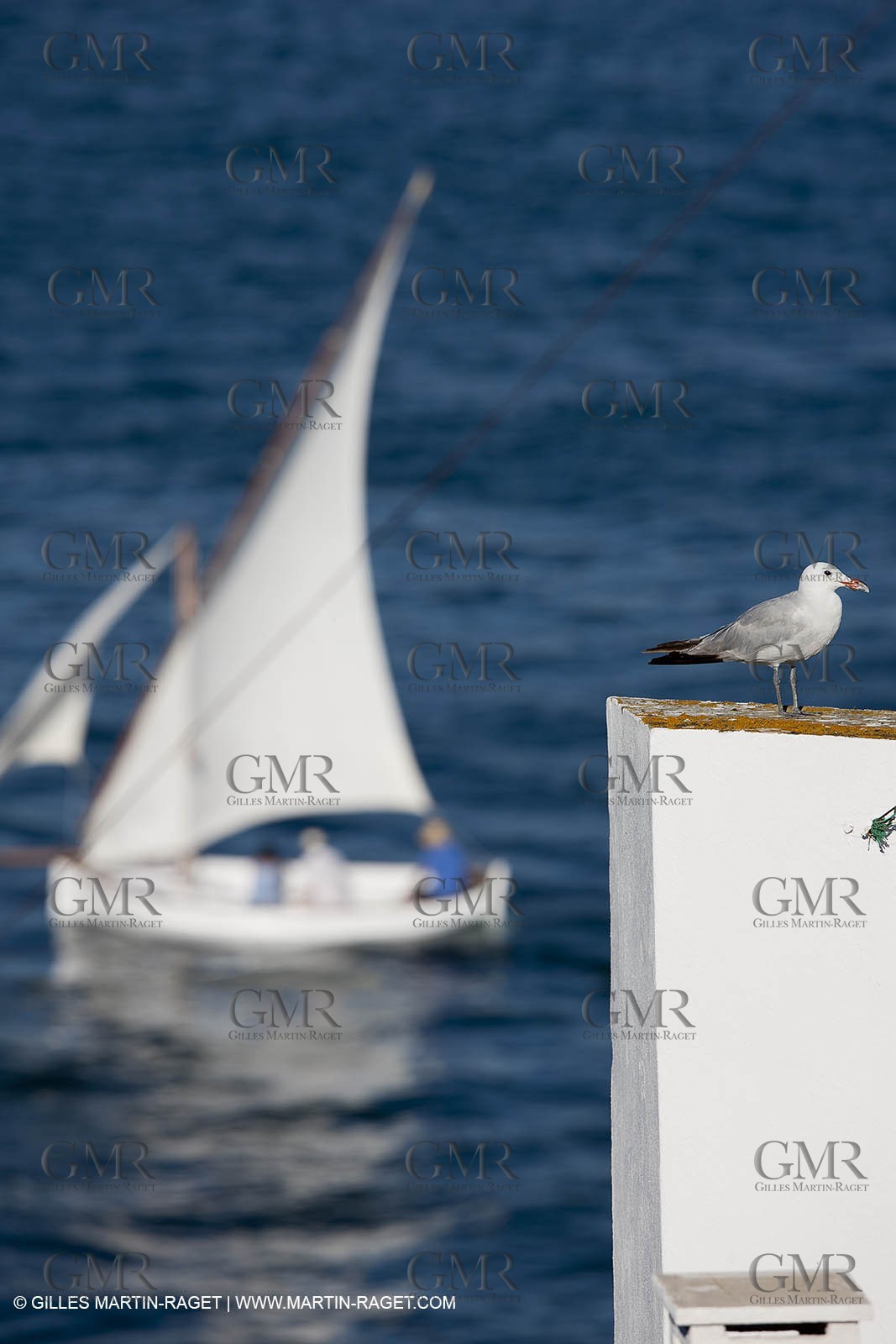 27 08 2010 - Minorque (ESP) - 2010 Paneraï Trophy - Copa del Rey for Classics