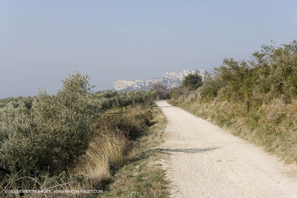 16 02 2008 - Les Baux de Provence (FRA, 13) - Paysages des Alpilles