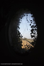 Saint Drézéry (FRA, 34), Domaine de Puech Haut