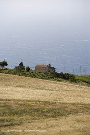 YC9H5706.JPG