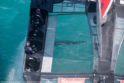 25 06 2017 - Bermuda (BDA) - 35th America's Cup 2017 - 35th America's Cup 2017 Presented by Louis Vuitton, Day 4