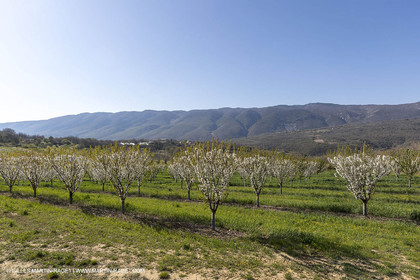 19 04 2018, Saint Martin de Castillon (FRA,84)