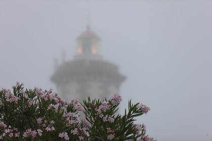 06 08 2011 - Cascais (PRT) - 34th America's Cup - AC World Series - Cascais 2011 -  Racing Day 1