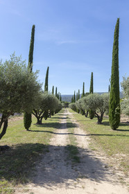 22 06 2018, Saint-Saturnin les Apts (FRA,84), Domaine des Andéols