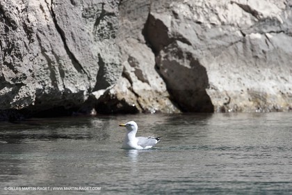 26 03 2009 - Marseille (FRA, 13) - Les Calanques - Sugiton