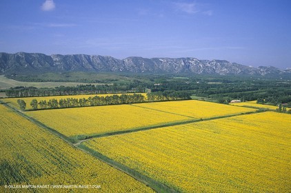 Alpilles countryside
