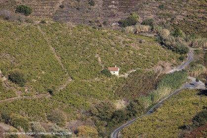 17 10 2011 - Vermeille Coast (FRA, 66) - Corbières Vineyards