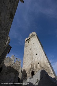 04 05 2008 - Arles (FRA,13)  - Montmajour Abbeye