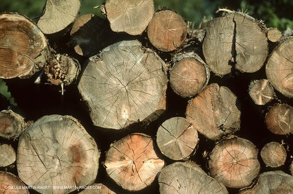 France - Alpes du Sud
