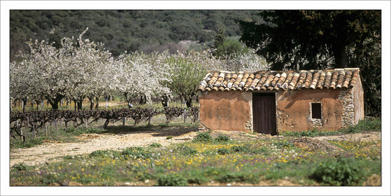 Produit : Tirage photo réalisé par nos soins sur imprimante jet d'encre professionnelle Epson à partir de 8 encres ultrachrome inaltérables (label Digigraphie).Formats au choix : .. 50 x 100 cm. 100 x 200 cmChoix des papiers :. Papier standard brillant 250 gr., filet noir, marge blanche, tirage non signé. Papier haut de gamme satiné 290 gr. filet noir, marge blanche, tirage vérifié et signé par l'auteur.. Tirages d'art (Digigraphies) signées, numérotées, tamponnées, enregistrées sur demande. Autres supports (canvas, acrylique, dibond) sur demandeConditionnement : tube cylindrique renforcé.Options pour l'expédition : . Colissimo + dépôt boîte aux lettres (France uniquement). Colissimo avec signature à réception. Transporteur express (2 jours ouvrés) avec signature à réceptionCliquez sur caddie pour sélectionner votre formule et démarrer la procédure de commande en ligne