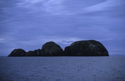 Patagonia