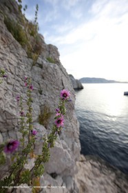 06 05 2009 - Marseille (FRA, 13) - Les Calanques - Plane Island