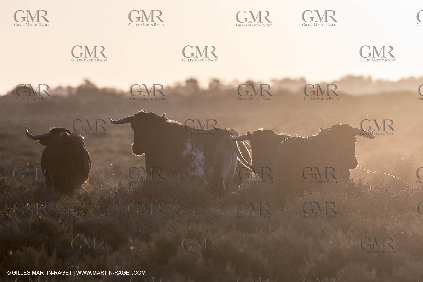 23 10 2014, Salins de Giraud (FRA,13), Salt & Speed 2014, Charlotte Consorti