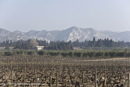16 02 2008 - Les Baux de Provence (FRA, 13) - Paysages des Alpilles