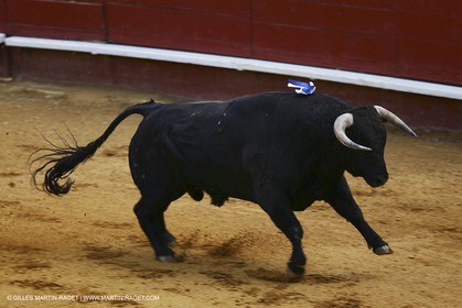 10 10 2004 Valencia