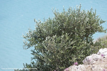 27 05 2009 - Marseille (FRA, 13) - Les Calanques - Sormiou