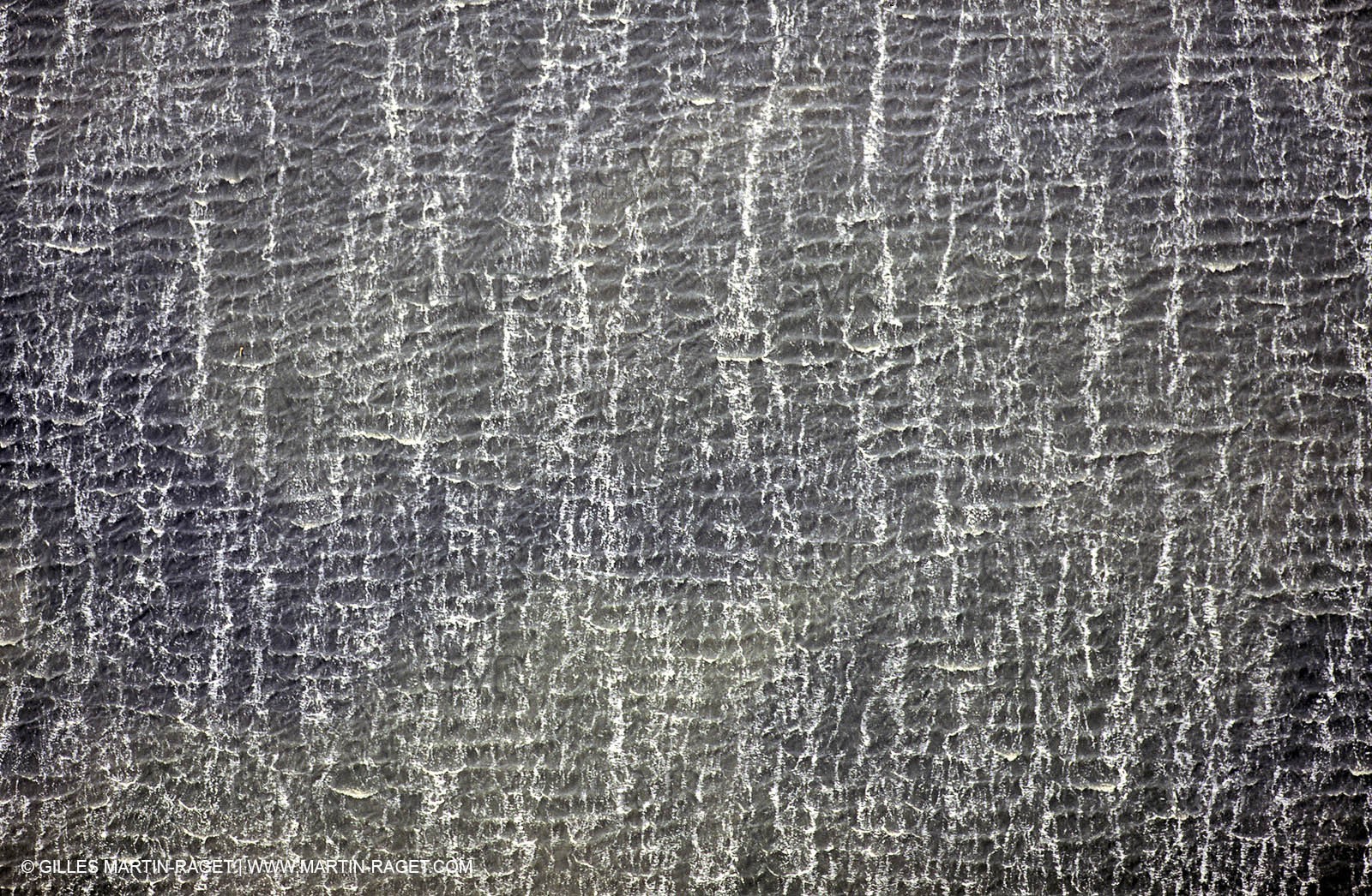 Ponds from Camargue