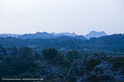 June 24th 2008 - Mouriès (FRA,13) - Alpilles hills landscapes - Le Destet area