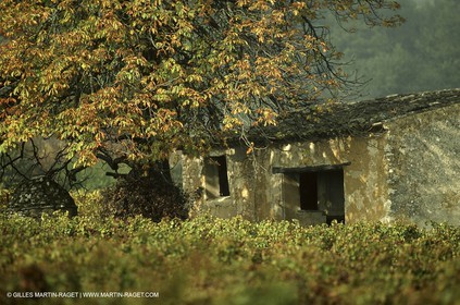 Luberon (FRA,84), Fall colors