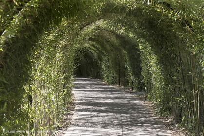 22 06 2018, Saint-Saturnin les Apts (FRA,84), Domaine des Andéols