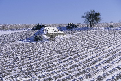 Provence under snow