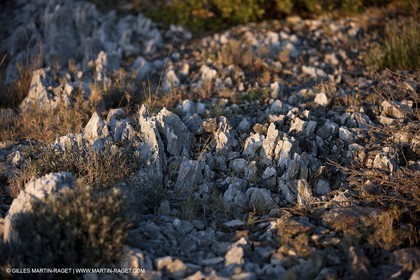 26 03 2009 - Marseille (FRA, 13) - Les Calanques- plateau de l'Homme Mort
